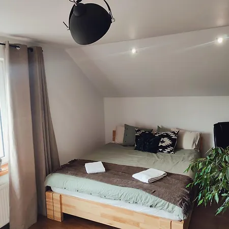 Apartament Loft Na Kaszubach - Laskowa Gora Bieszkowice Exterior photo